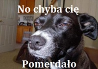 No chyba cię POMERDAŁO :)