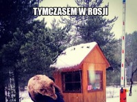 Tymczasem w Rosji