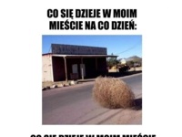 Co się dzieje w moim mieście ;)