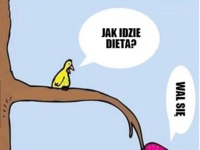 Jak idzie dieta? :D