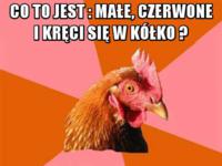 Co to jest: Małe, Czerwone i kręci się w kółko :D