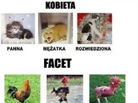 KOBIETA vs FACET! Zgadza się? ;)