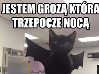 Mały łobuz
