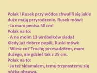 Polak i Rusek przy wódce chwali się jakie mają przyrodzenia :D