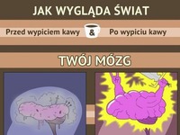 Twój mózg i kawa! :D