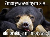 motywacja