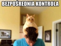 Bezpośrednia kontrola