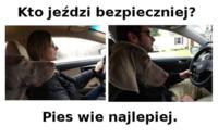 Pies wie najlepiej :>