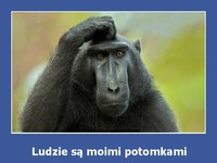 Ludzie są moimi potomkami