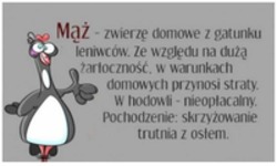 Zwierzę domowe