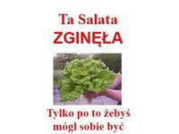 Sałata też czuje