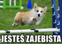 Hej, ty!