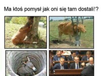 Ma ktoś pomysł jak oni się tam dostali? ;D