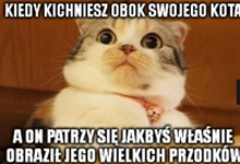 Tak patrzy