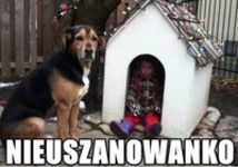 Nieuszanowanko