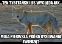 Ten lis wygląda dokładnie tak, jak... XD