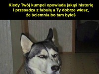 Kumpel opowiada