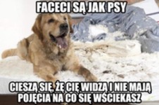 dokładnie XD