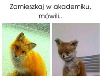 Zamieszkanie w akademiku przed i po :D