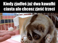 Kiedy zjadłeś już dwa kawałki