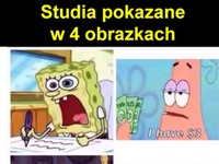 Studia na jednym obrazku