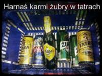 Harnaś, żubr i tatra ;D