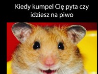 Idziemy na piwo