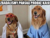 Psi doktorzy