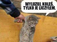 Wyluzuj koleś :)