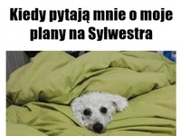 Plan na Sylwestra