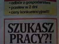 szukasz pracy ziomuś?