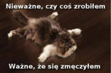 Się zmęczyłem