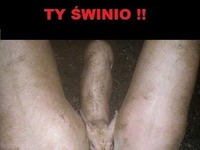 Wiem o czym myślisz! TY ŚWINIO! ;)