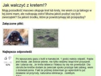 Jak najlepiej pozbyc się kreta z ogródka? ;D Ludzie to mają pomysły!