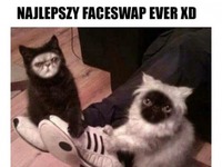 faceswap