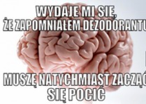Genialny mózg