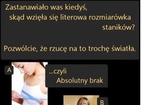 SKĄD WZIĘŁA SIĘ LITEROWA ROZMIARÓWKA STANIKÓW :D