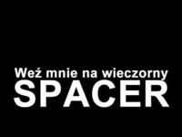 Spacer