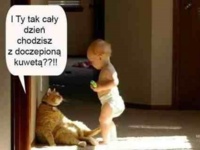 Cały dzień z doczepioną kuwetą