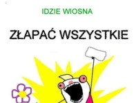 Idzie wiosna, idzie alergia...