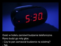 Gość w hotelu zamówił budzenie telefoniczne! ZOBACZ jak to się skończyło :D