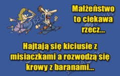 MAŁŻEŃSTWO to ciekawa rzecz! Zobacz dlaczego