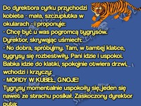 Kobieta chce pracować jako treser TYGRYSÓW! Wiesz dlaczego? ;)