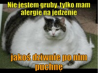 Nie jestem gruby, tylko mam alergię na jedzenie