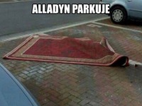 Alladyb parkuje