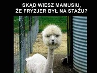 skąd wiesz?