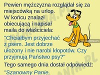 Dlacze zwierzęta powinny być mile widziane na wakacjach! MEGA!