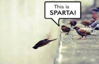 This is SPARTA!