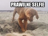 Idealne selfie na plaży XD