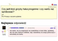 Gdy jadł ktos grzyby halucynogenne i czy warto raz spróbować :D